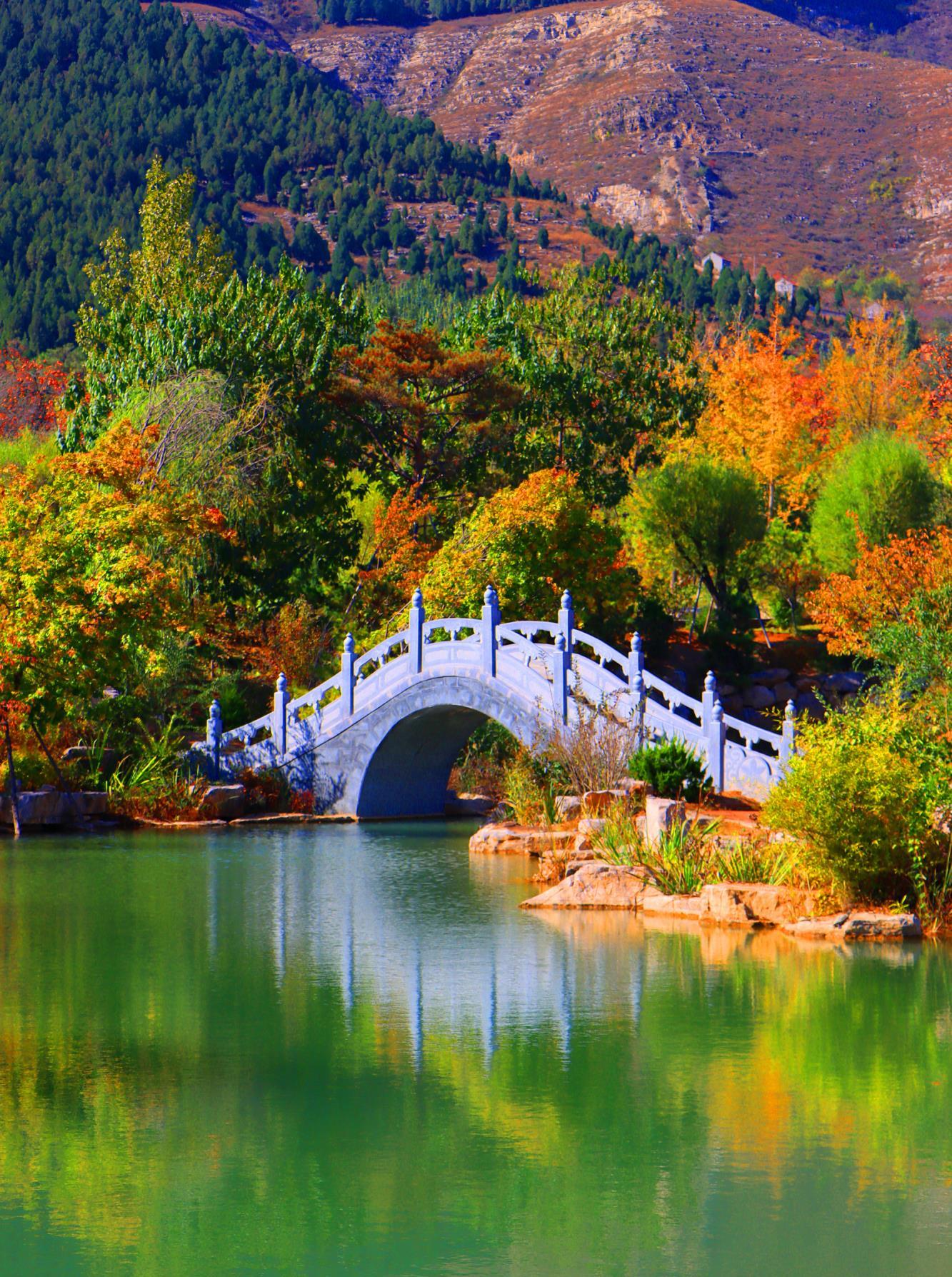 临朐有一个完全免费的景区!距离县城不远,景色美!