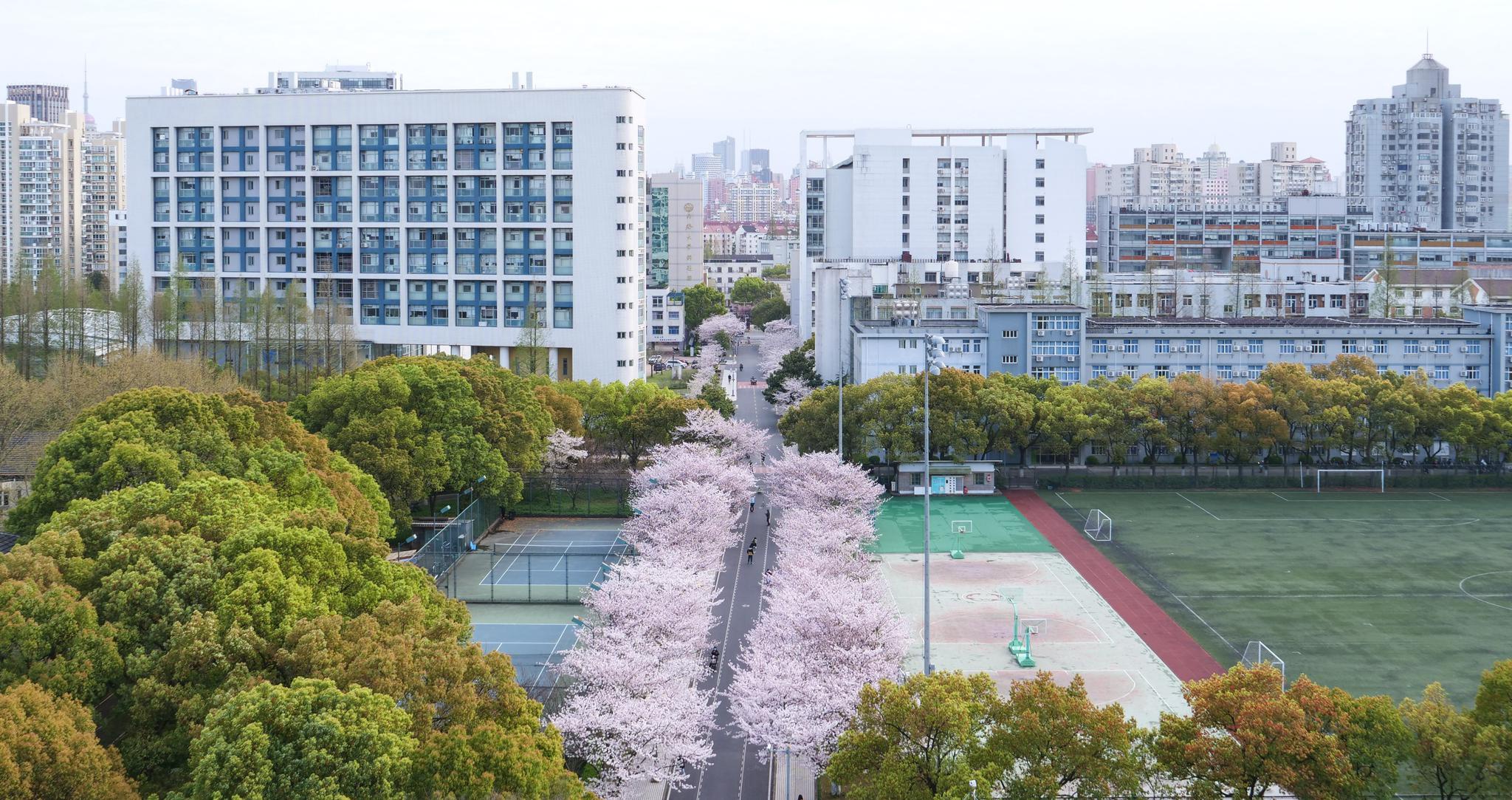 上海同济大学a塔楼主体封顶将满足2000名同济研究生的住宿需求