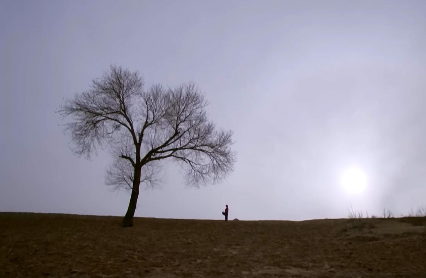 平凡的世界郝红梅的坎坷人生悲伤和希望都是一道光