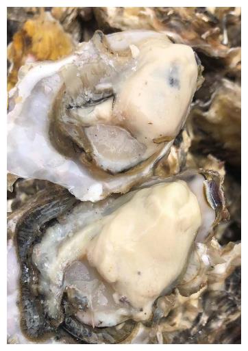 吃了多年的海鲜,生蚝和牡蛎的区别,你能分清吗?