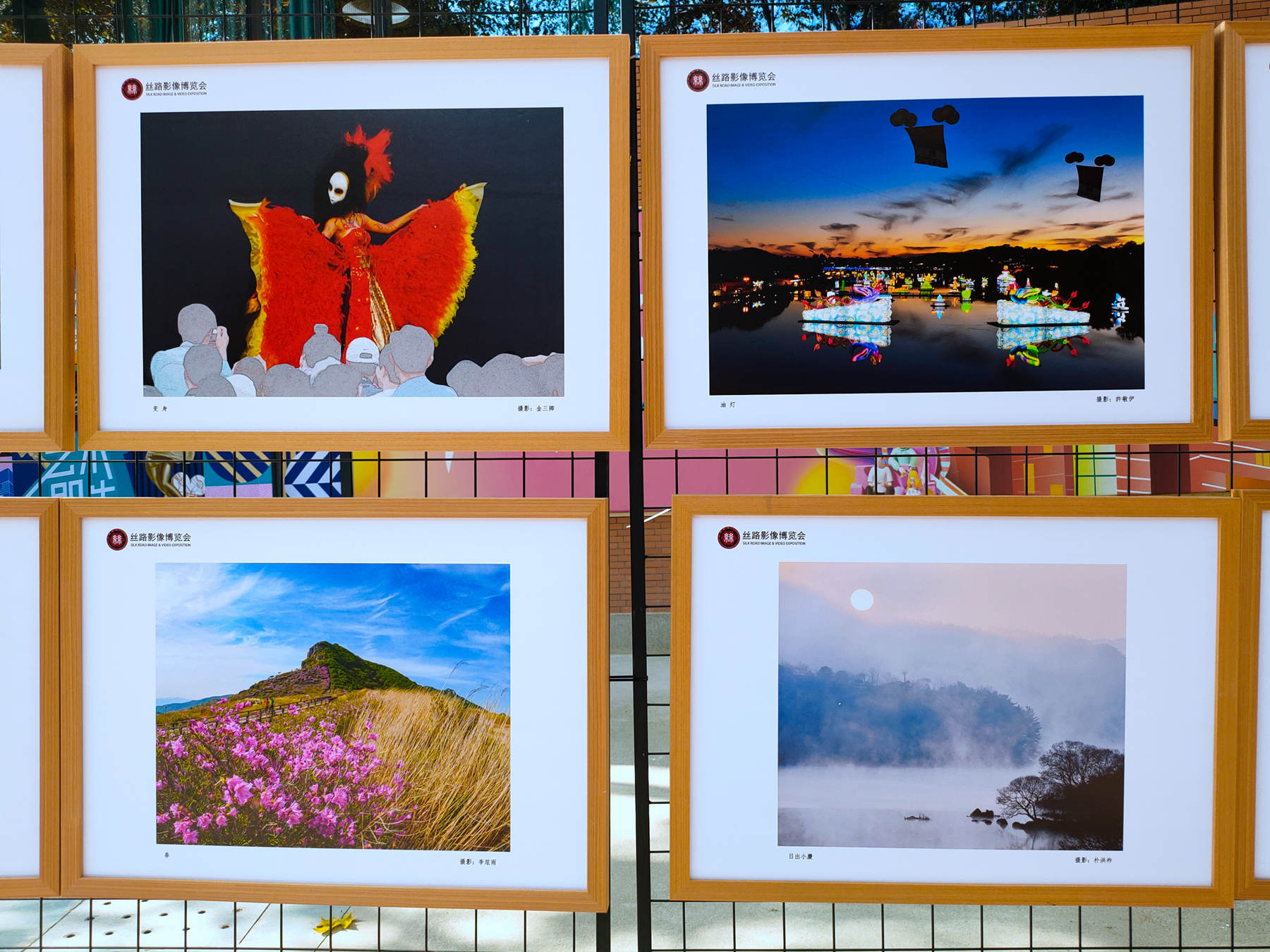 第六届丝路影像博览会特别展 <a href=