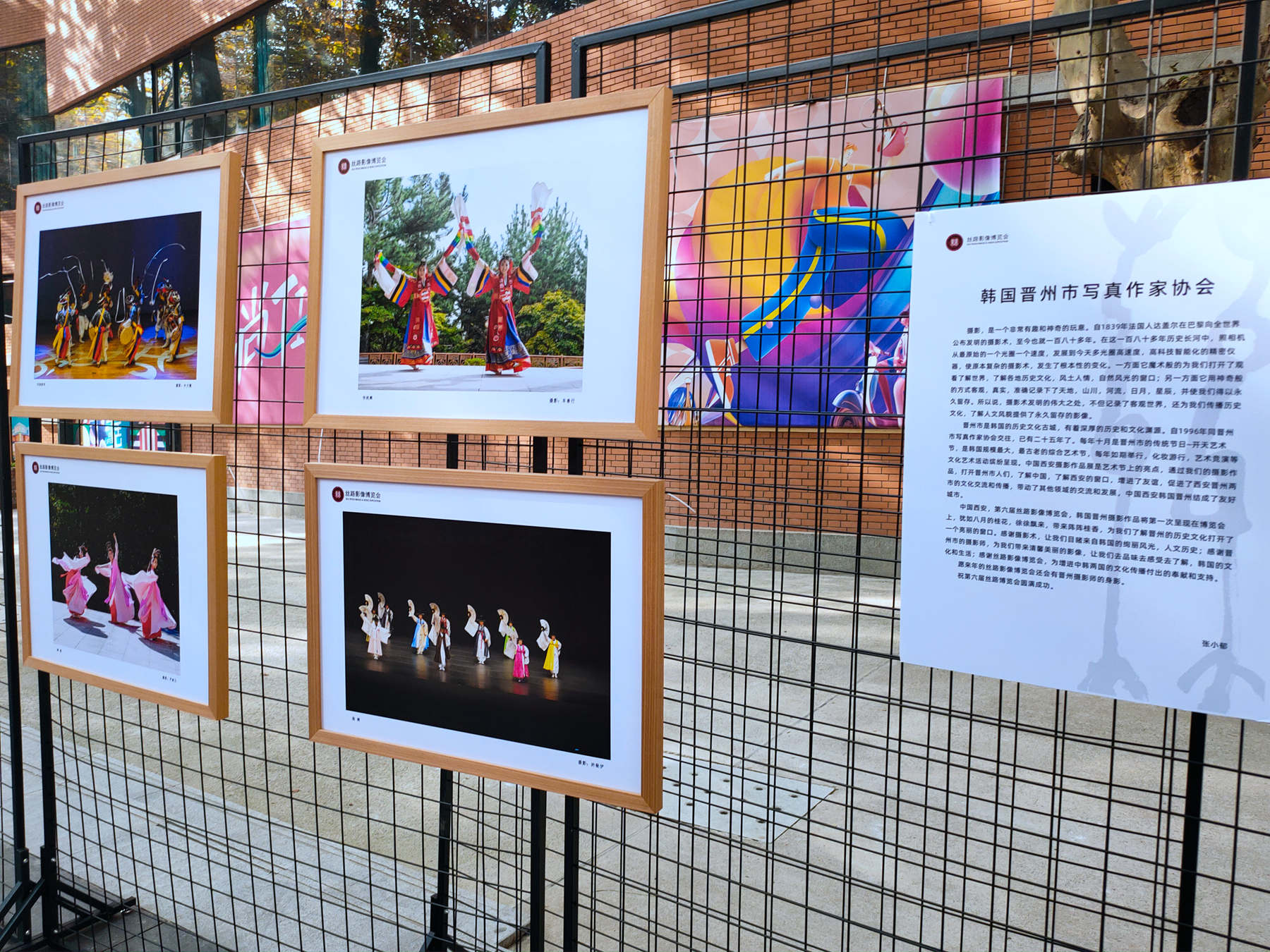 第六届丝路影像博览会特别展 <a href=