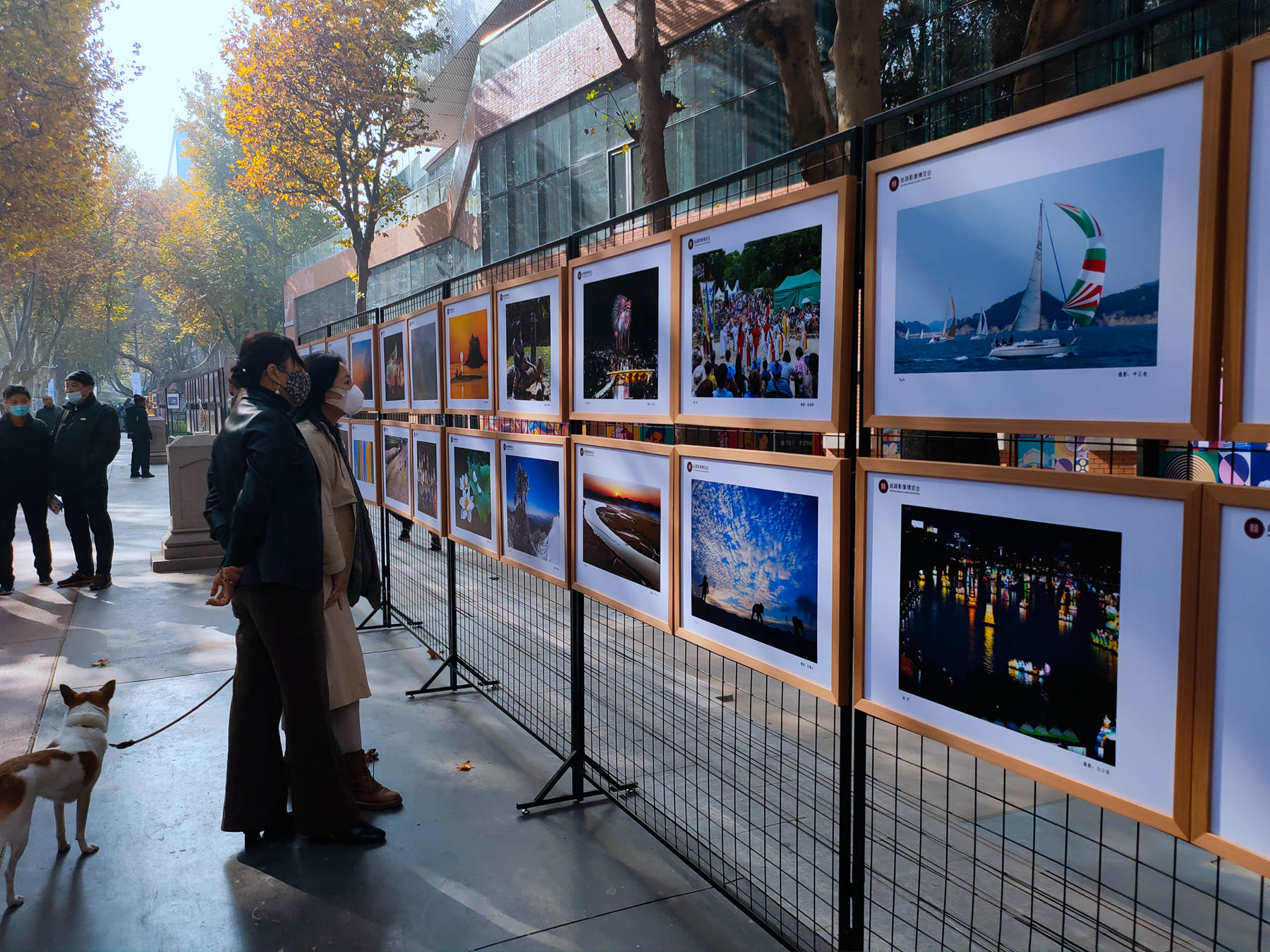 第六届丝路影像博览会特别展 <a href=