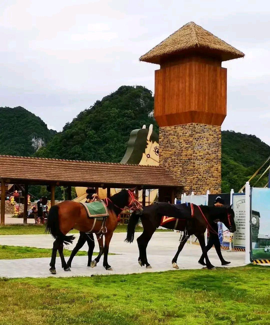 探秘德保矮马王国,体验lp童话世界