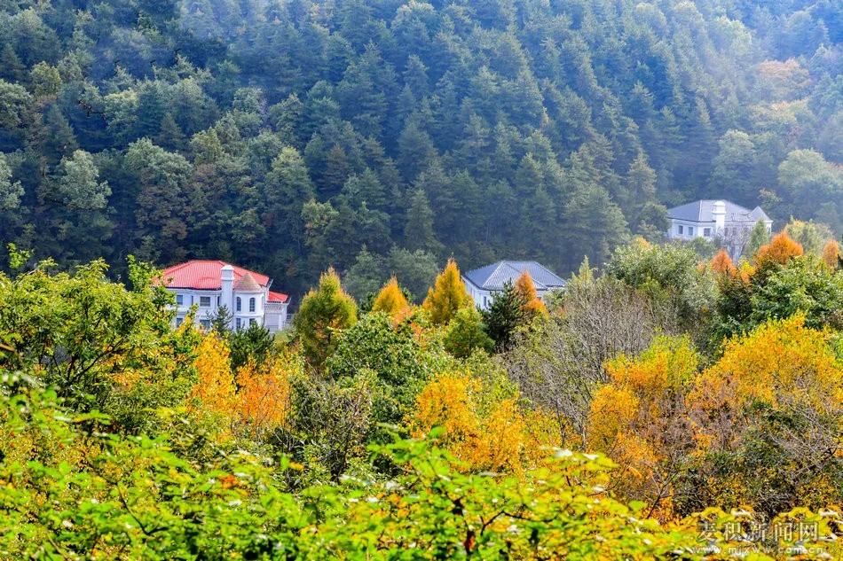 醉美麦积系列组图:天水麦积山植物园之秋