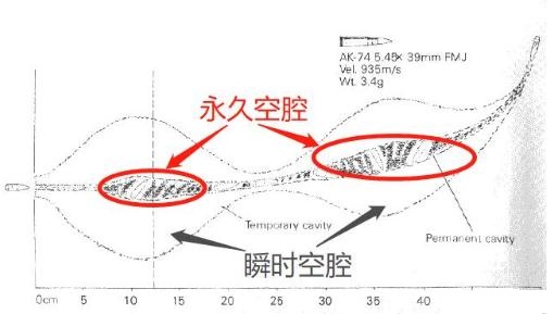 要理解枪击的伤害,我们就要知道一个事实,那就是:什么是空腔效应?
