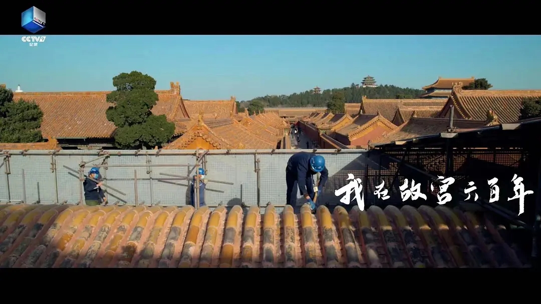 我在故宫六百年:把每一代人的故事留给今天和未来