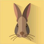 Fgo 英灵职阶克制倍率介绍 狂阶的克制关系很多人都搞错了