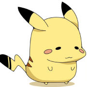 好大一只胖皮卡