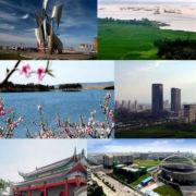 明光发布