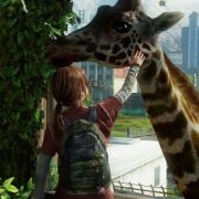 艾莉的冷笑话时间