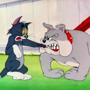 猫狗体育Pro