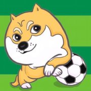 足球狗的日常