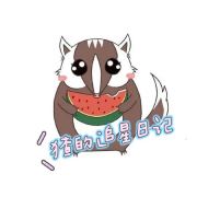猹的追星日记