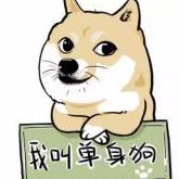 治愈汪汪单身狗