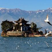 大理文旅发布厅