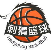 刺猬篮球
