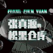 张真源的松果仓库·