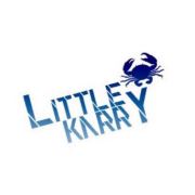 Littlekarry_王俊凯动图库