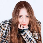 月亮下的猫猫坐在软软的棉花糖里