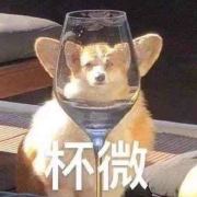 今天来爱哪个哥哥