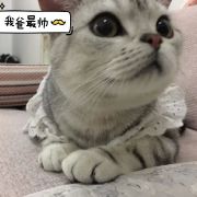 饭饭喜欢卢比奥