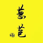 每天离会长音乐近一点