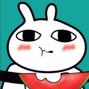 八组兔区每日揭秘