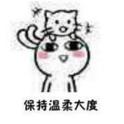 睡的香的猫CY