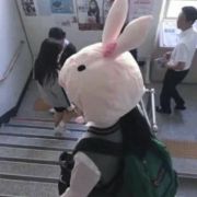 娱乐小红娘