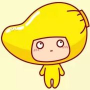 小芒追星