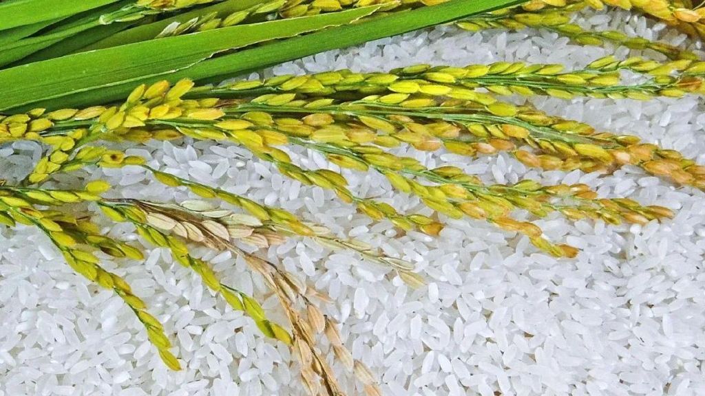 说不得的佳木斯，说不得的倒米砸蛋，你的不解却是他们的司空见惯休闲区蓝鸢梦想 - Www.slyday.coM