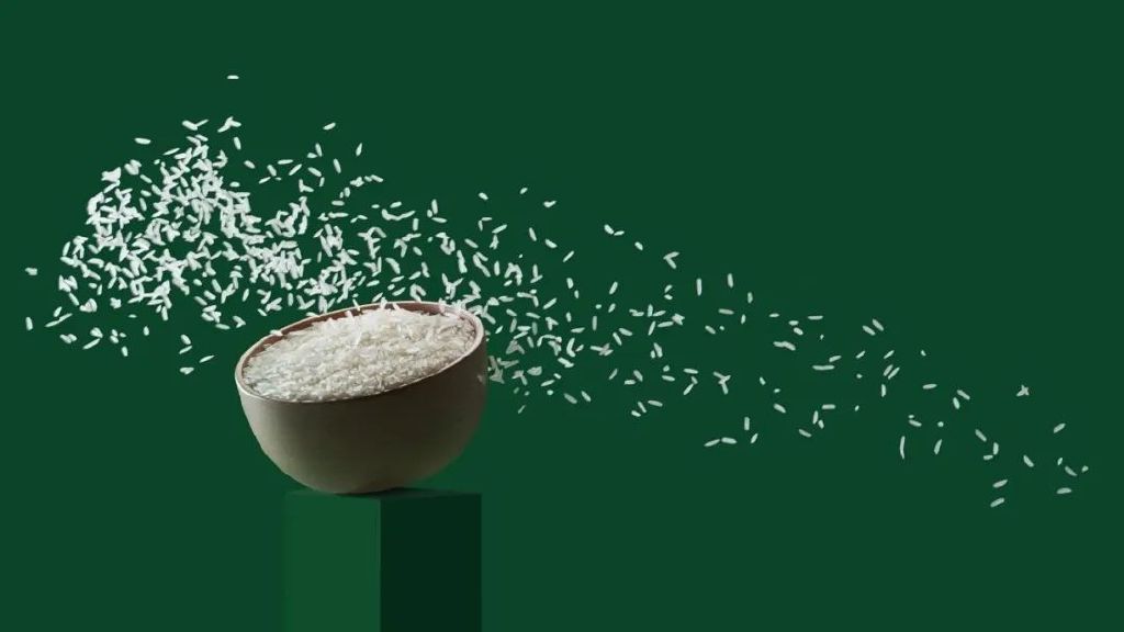 说不得的佳木斯，说不得的倒米砸蛋，你的不解却是他们的司空见惯休闲区蓝鸢梦想 - Www.slyday.coM