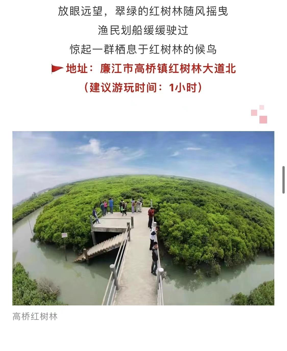 张思燕 林晓春 符进聚【图片】郭龙碧 揭琼 文好 部分由廉江市文广旅