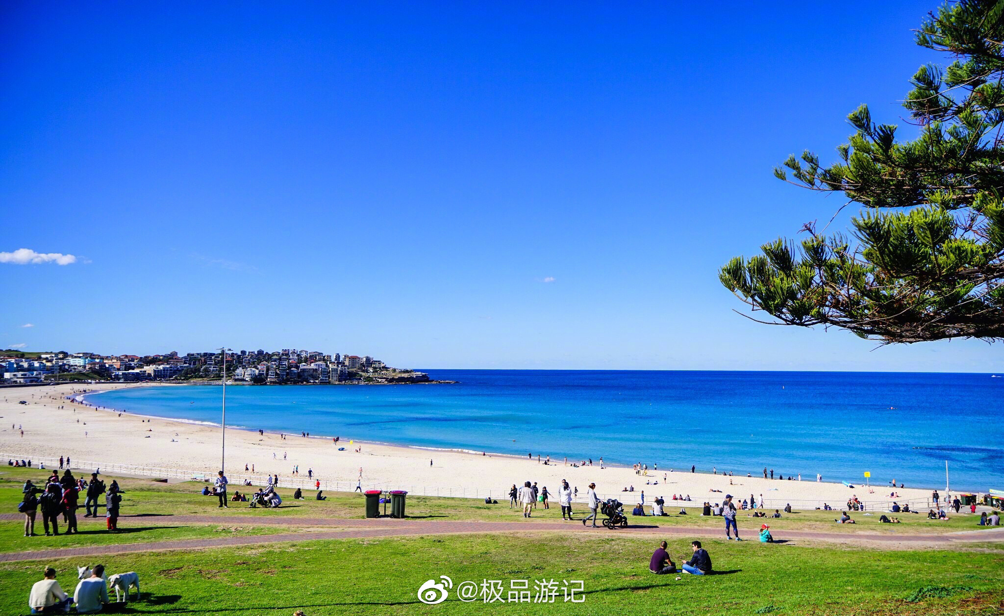 邦迪海滩——冲浪者的天堂_高清图集_新浪网