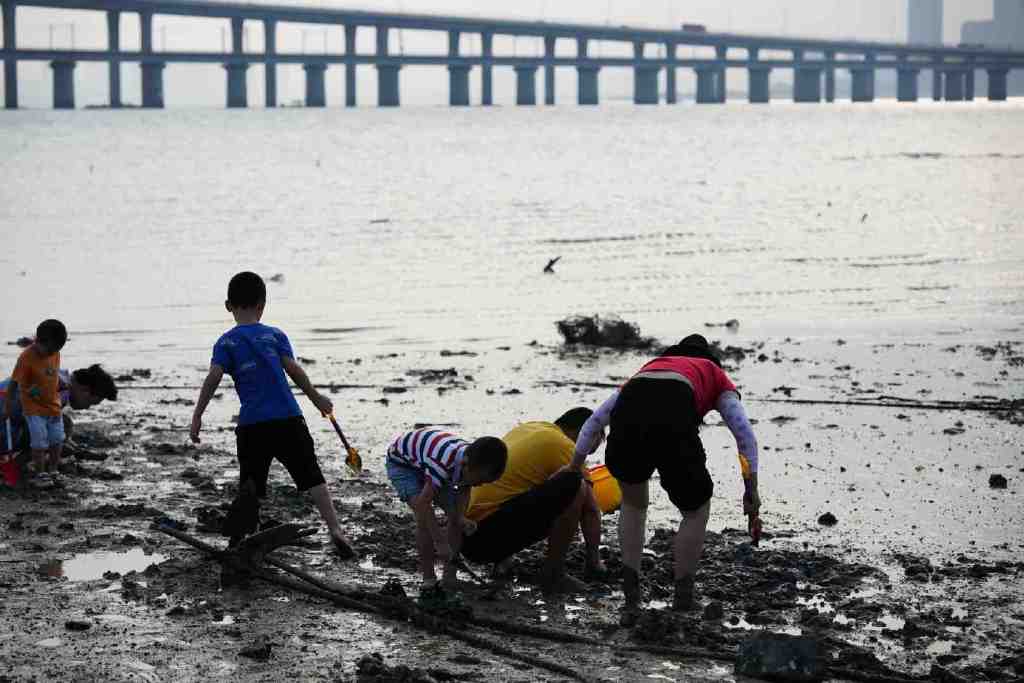 来厦门玩不要一个人去十里长堤,你可能会想谈恋爱也可能胖三斤休闲区蓝鸢梦想 - Www.slyday.coM 来厦门玩不要一个人去十里长堤,你可能会想谈恋爱也可能胖三斤休闲区蓝鸢梦想 - Www.slyday.coM