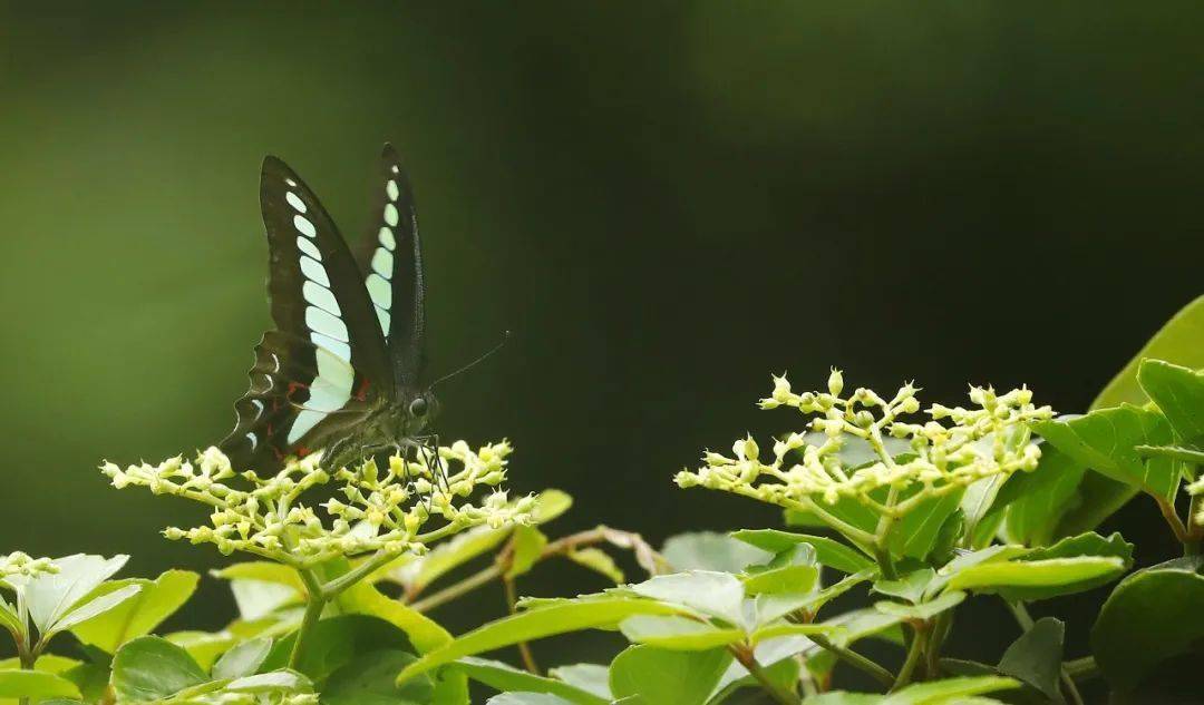 冬至休闲区蓝鸢梦想 - Www.slyday.coM 冬至休闲区蓝鸢梦想 - Www.slyday.coM