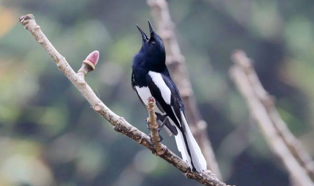 冬至休闲区蓝鸢梦想 - Www.slyday.coM 冬至休闲区蓝鸢梦想 - Www.slyday.coM