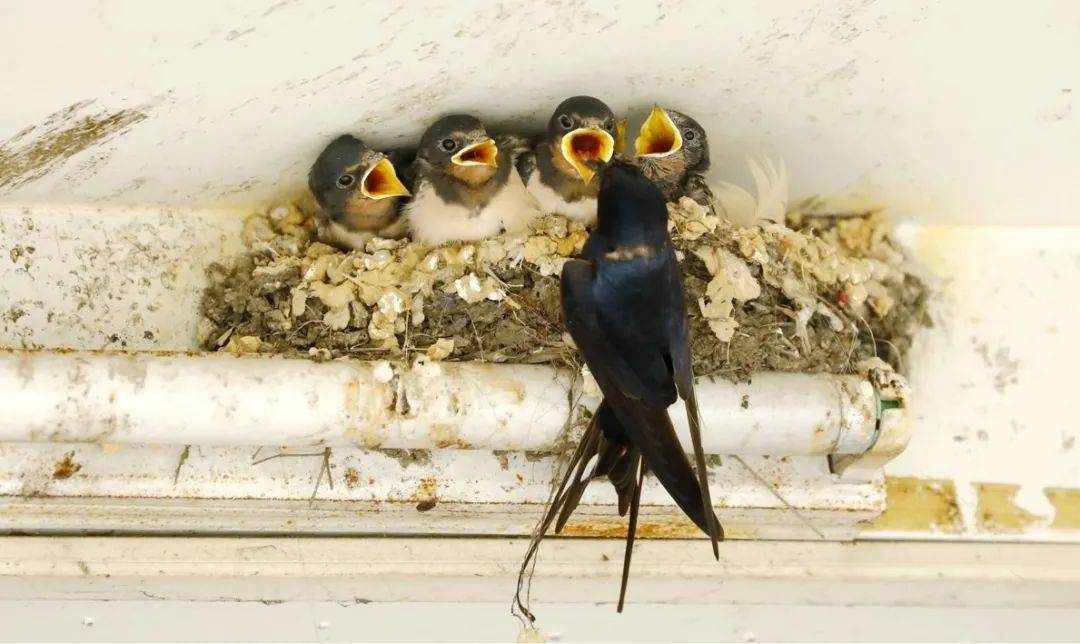 冬至休闲区蓝鸢梦想 - Www.slyday.coM 冬至休闲区蓝鸢梦想 - Www.slyday.coM