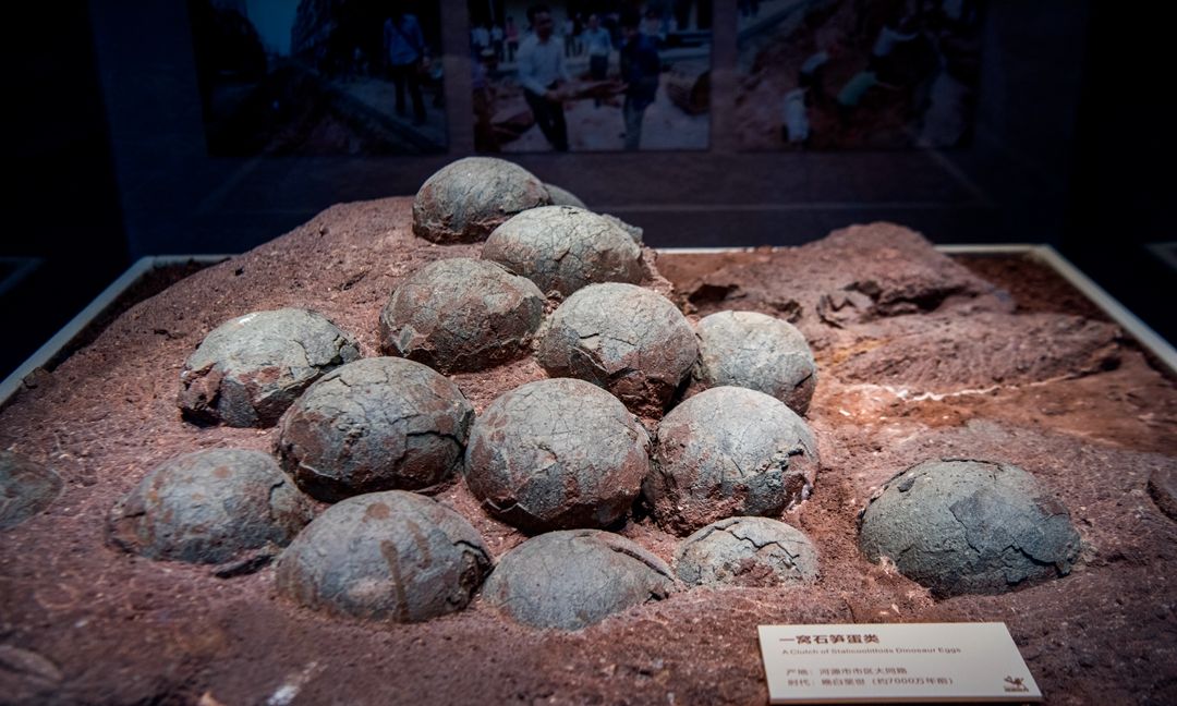游广东河源实拍世界上最多恐龙蛋的博物馆恐龙灭绝之谜引猜想