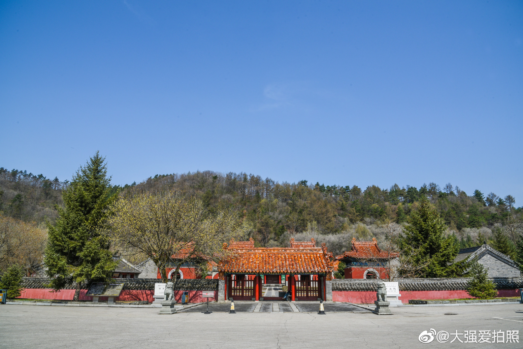 宾县_宾县最新消息,新闻,图片,视频_聚合阅读_新浪网