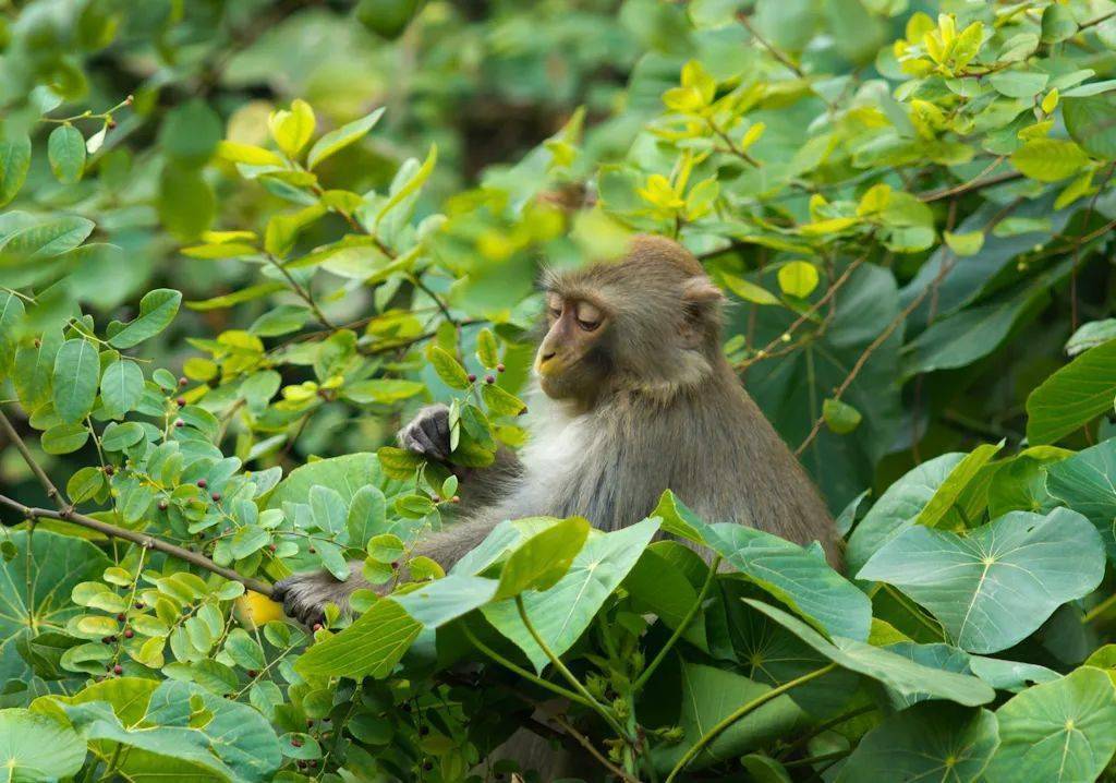 冬至休闲区蓝鸢梦想 - Www.slyday.coM 冬至休闲区蓝鸢梦想 - Www.slyday.coM