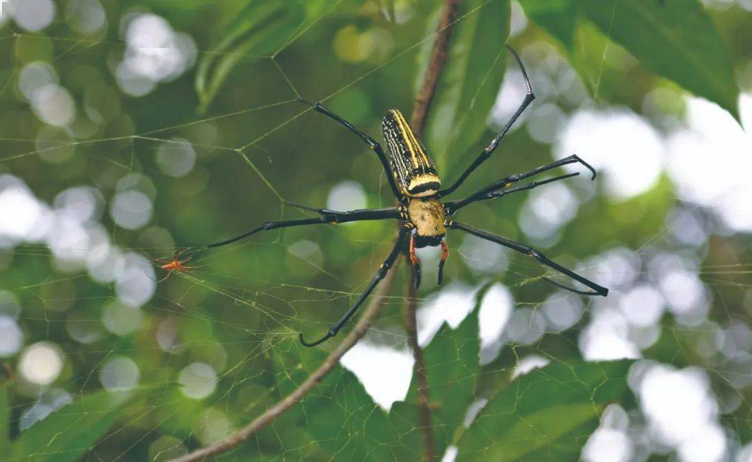 冬至休闲区蓝鸢梦想 - Www.slyday.coM 冬至休闲区蓝鸢梦想 - Www.slyday.coM