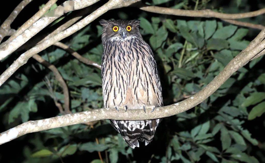 冬至休闲区蓝鸢梦想 - Www.slyday.coM 冬至休闲区蓝鸢梦想 - Www.slyday.coM