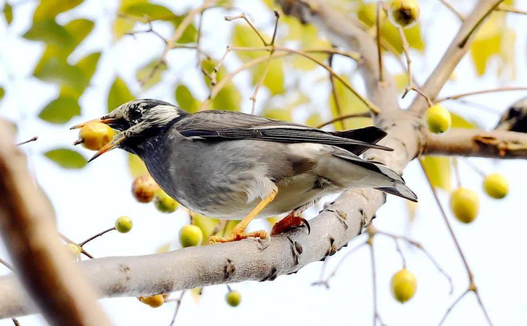 冬至休闲区蓝鸢梦想 - Www.slyday.coM 冬至休闲区蓝鸢梦想 - Www.slyday.coM