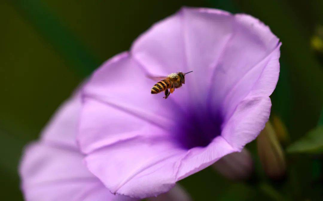 冬至休闲区蓝鸢梦想 - Www.slyday.coM 冬至休闲区蓝鸢梦想 - Www.slyday.coM