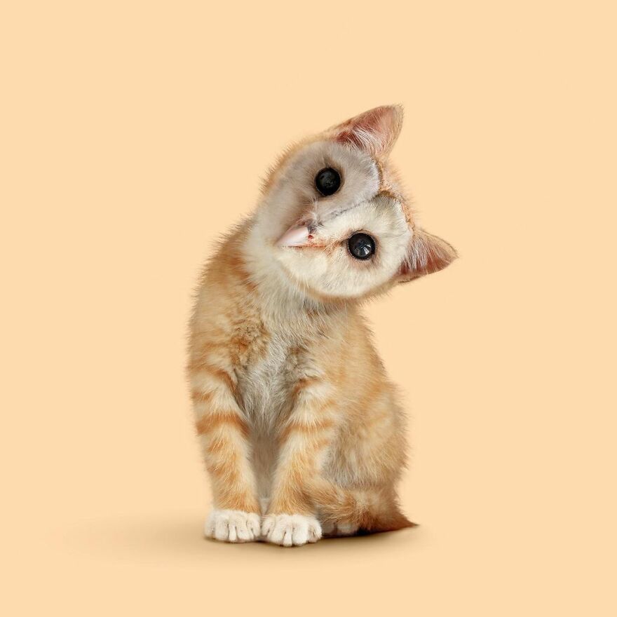 脑洞大开的数字合成照片,来自法国创意工作室 les creatonautes