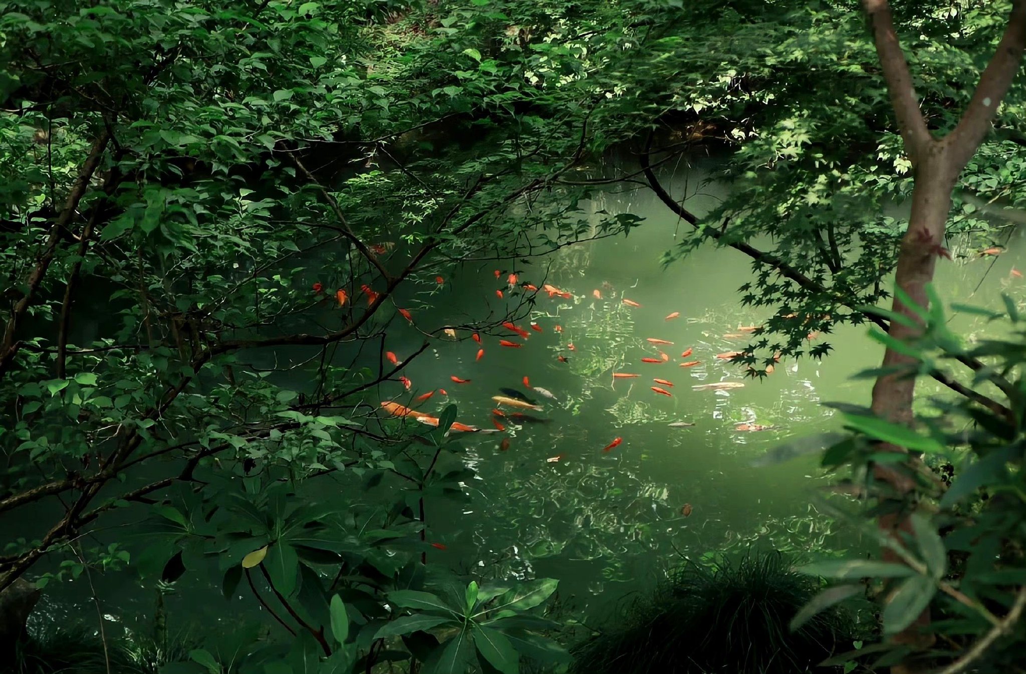 绿色系ipad电脑壁纸|ipad|绿色系|壁纸_新浪新闻