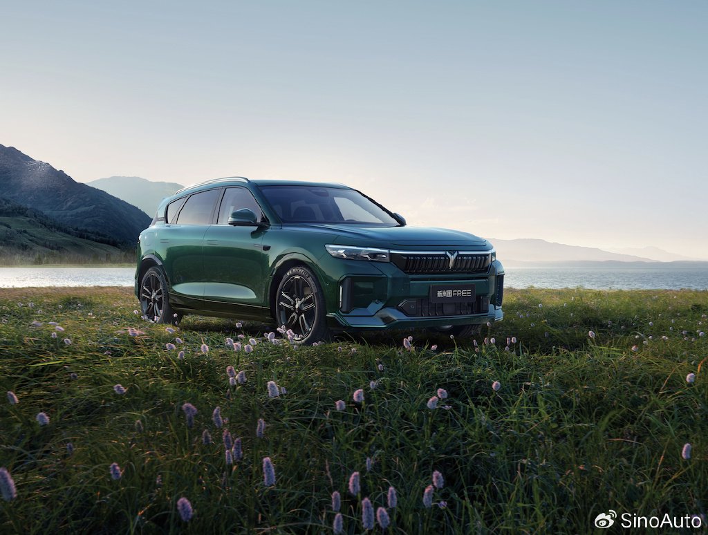 新岚图free上市售价2669万元cltc续航1201km