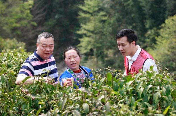 聚焦乡村振兴 讲述小康故事|第一书记陈川忙碌的一天